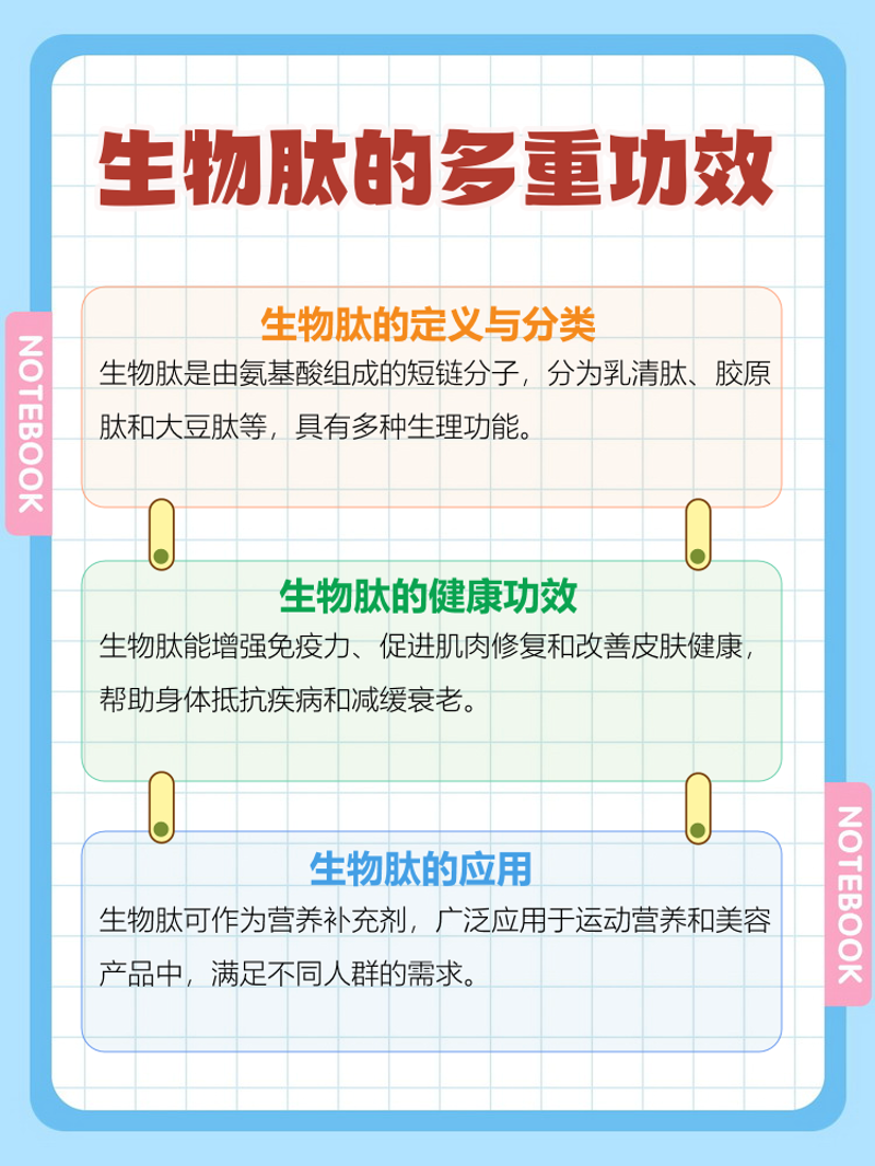 酶制剂生产：现代工业进程中的催化剂