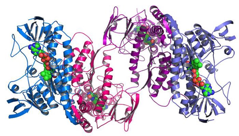 生物科技研发：推动生命科学革命的力量
